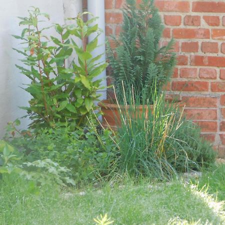 Vakantiewoning Louis Mechelen Zewnętrze zdjęcie